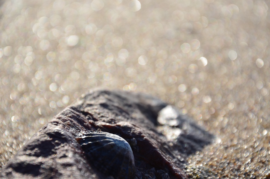 2016-12 France/St Malo/DSC_1048.JPG